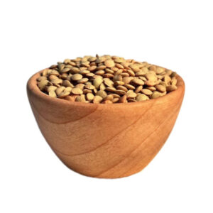 عدس